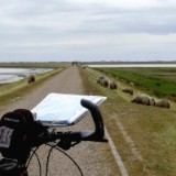 1406F 104 Rundfahrt Sylt